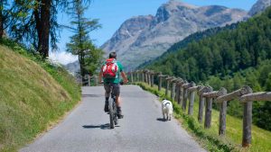 Man on mountain bike with dog